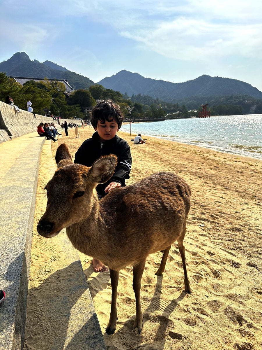 Hiroshima & Miyajima