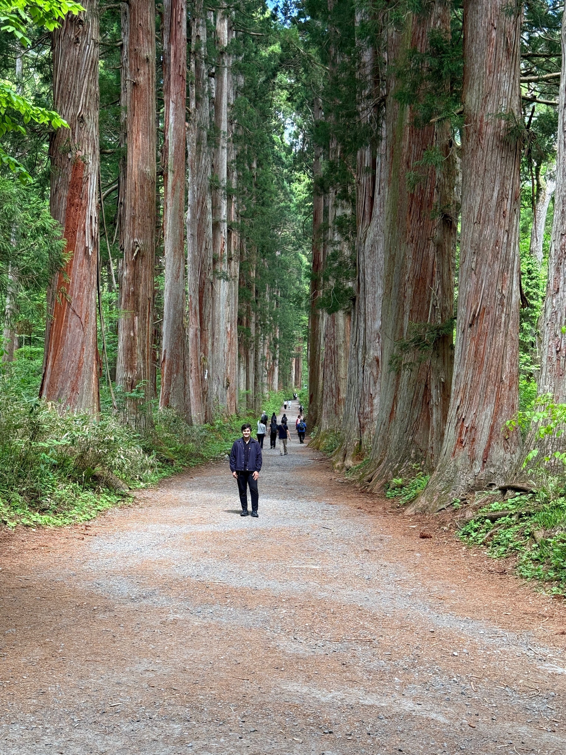 WHY I KEEP RETURNING TO JAPAN IN SUMMER