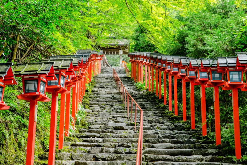 Kyoto Summers (7 Days)