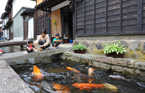 THE CANALS OF HIDA-FURUKAWA