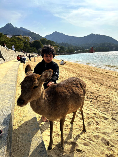 Hiroshima & Miyajima
