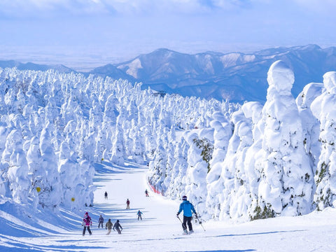 Zao Snow Monsters