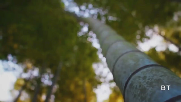 Immersive Japan | 11-Day Small Group Journey