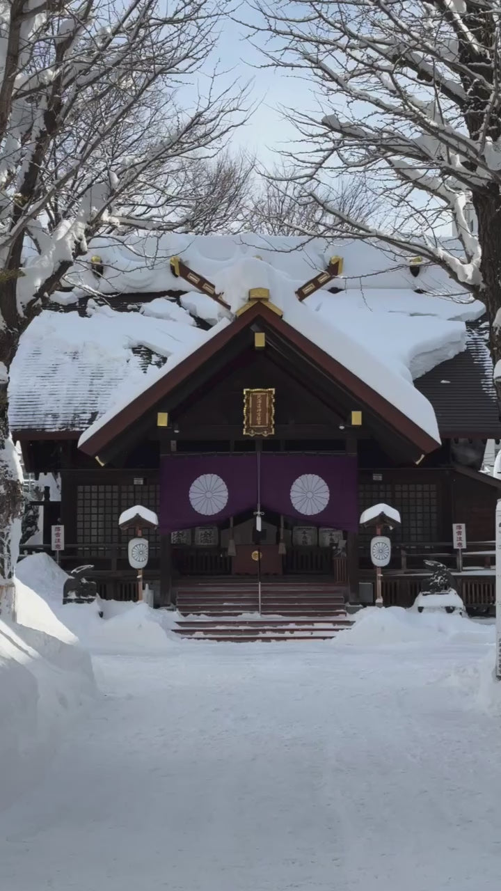 Snowy Sapporo