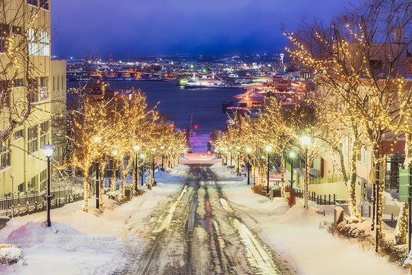 Quiet Winters | 13-Day Small Group Journey